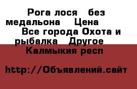 Рога лося , без медальона. › Цена ­ 15 000 - Все города Охота и рыбалка » Другое   . Калмыкия респ.